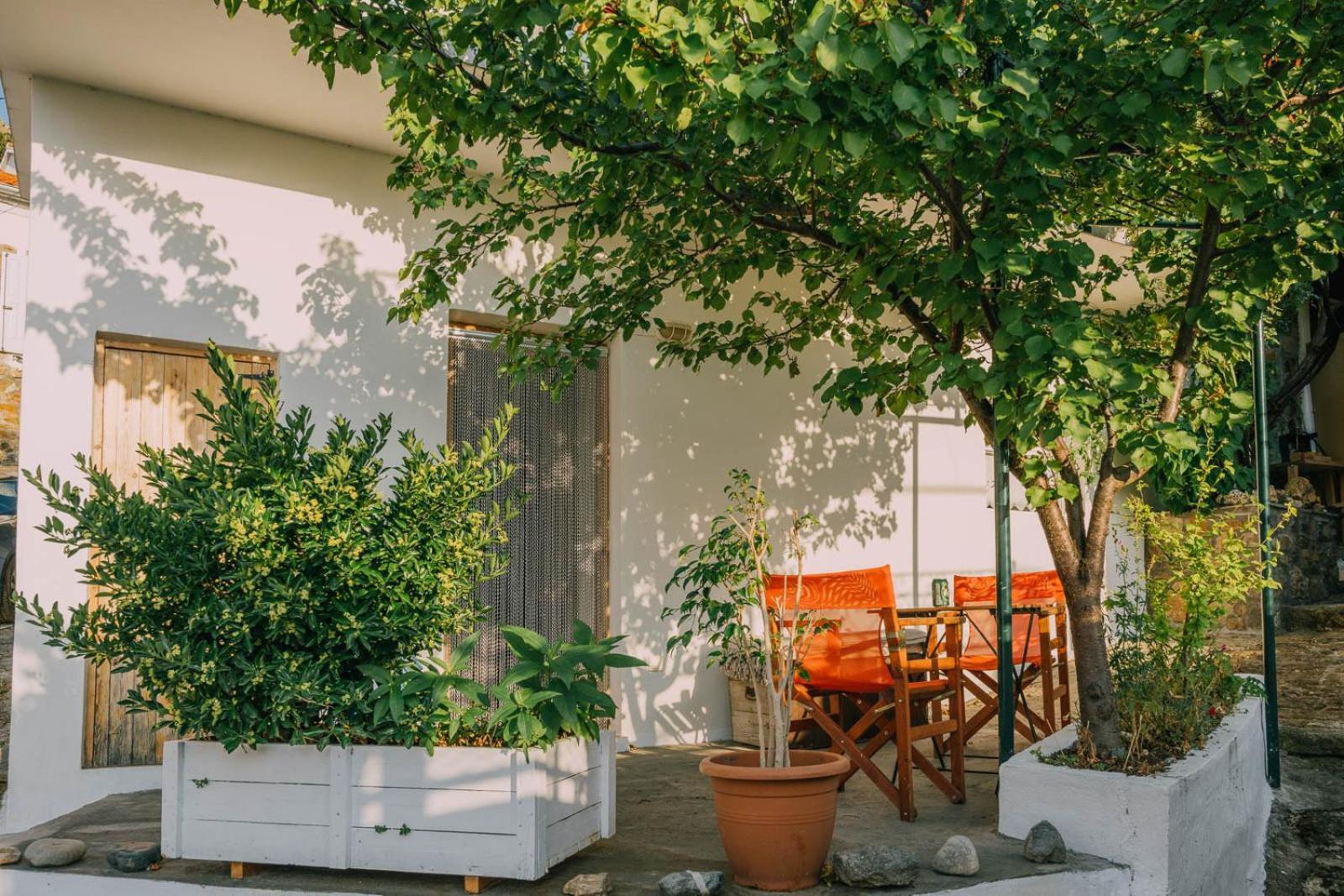 The Apricot Tree Studio Samothráki Exterior foto